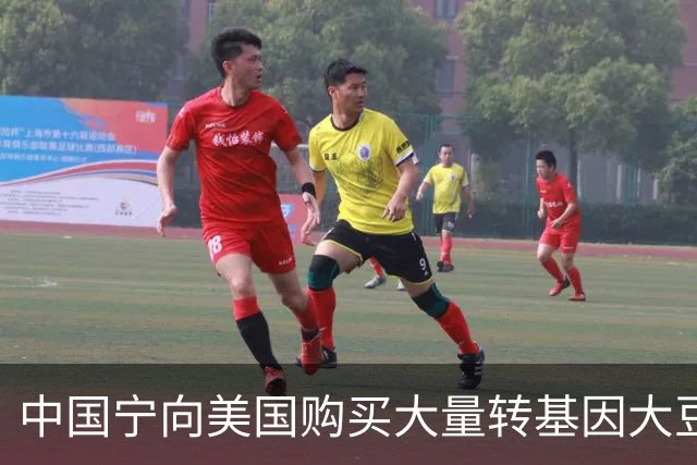 中国宁向美国购买大量转基因大豆，也不从俄罗斯购买，这是为何？