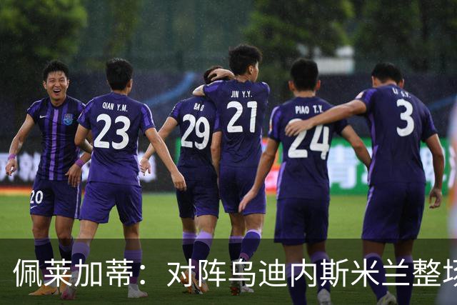 佩莱加蒂：对阵乌迪内斯米兰整场都保持了高度专注，这很积极