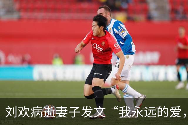 刘欢病逝妻子发文“我永远的爱，永远的痛”，韩红、韦唯、那英等多人悼念