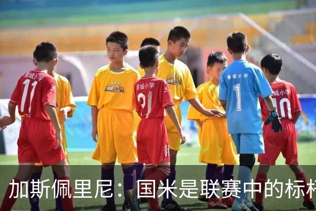 加斯佩里尼：国米是联赛中的标杆球队 明天我们全员均可出战
