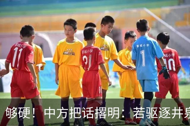 够硬！中方把话撂明：若驱逐井泉大使，将禁止更多菲官员入境