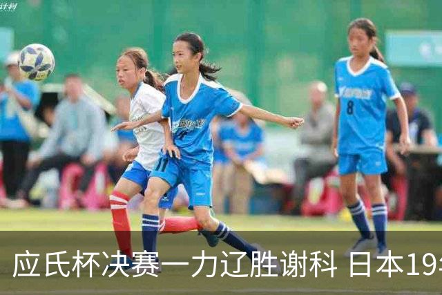 应氏杯决赛一力辽胜谢科 日本19年后重夺世冠