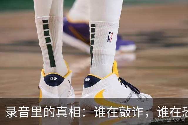 录音里的真相：谁在敲诈，谁在恐惧？ ——六评赵瑞胜案