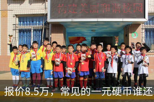 报价8.5万，常见的一元硬币谁还有？
