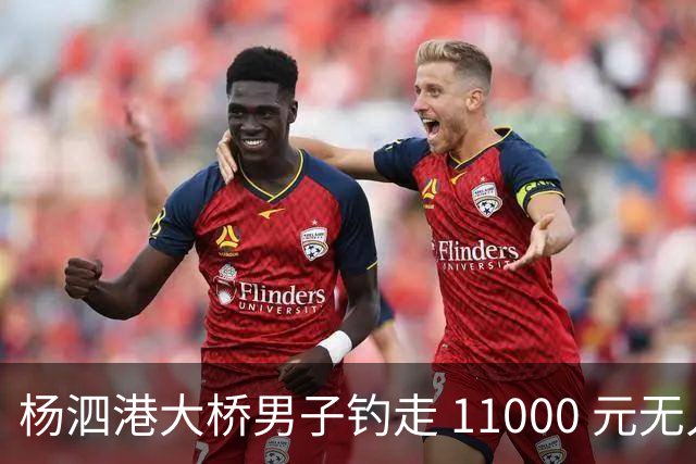 杨泗港大桥男子钓走 11000 元无人机，拒绝归还，这算偷还是捡呢