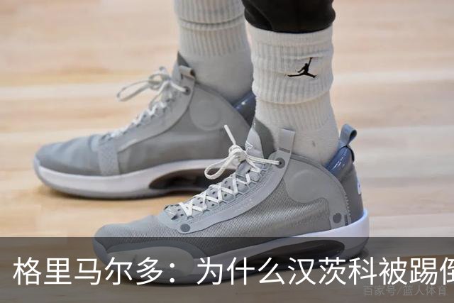 格里马尔多：为什么汉茨科被踢倒但VAR没介入？我们需要一个解释