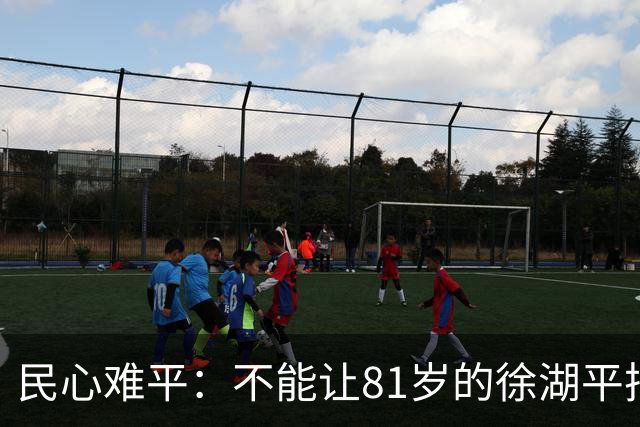 民心难平：不能让81岁的徐湖平把国宝文物流失的秘密带进棺材。