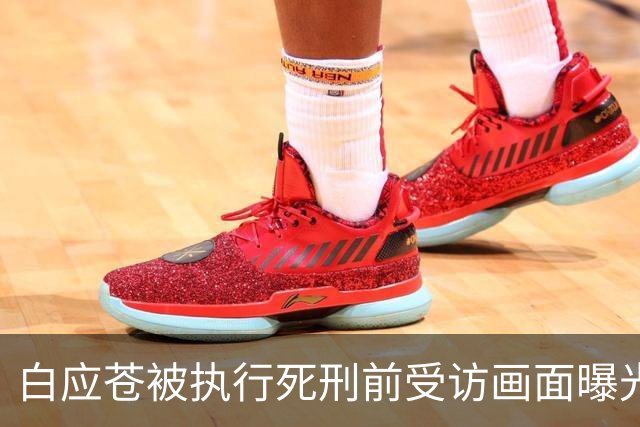 白应苍被执行死刑前受访画面曝光：“你不做诈骗就代表你无所事事”，曾代表全家向中国人民道歉
