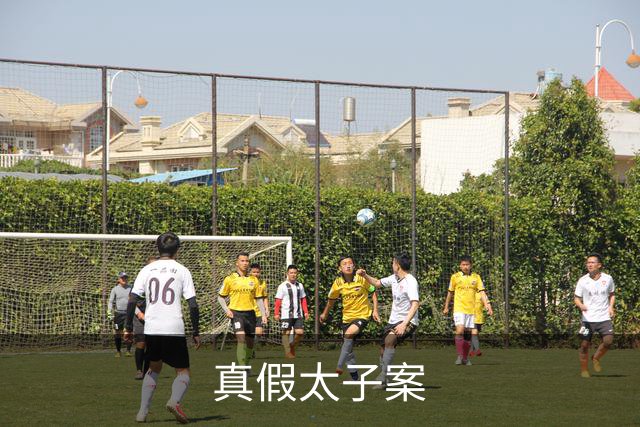 真假太子案