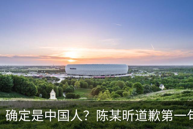 确定是中国人？陈某昕道歉第一句话就“露馅”了，央视公布新进展