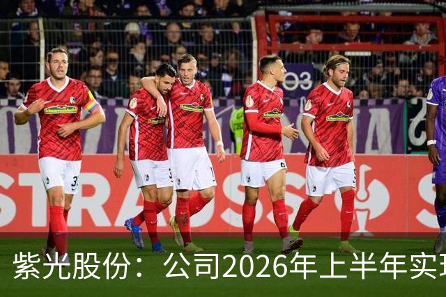 紫光股份：公司2026年上半年实现营业收入635.16亿，同比增长33.93%