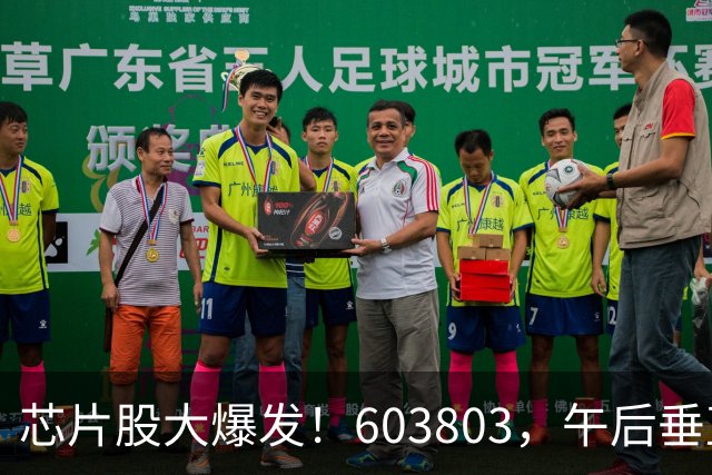 芯片股大爆发！603803，午后垂直涨停！