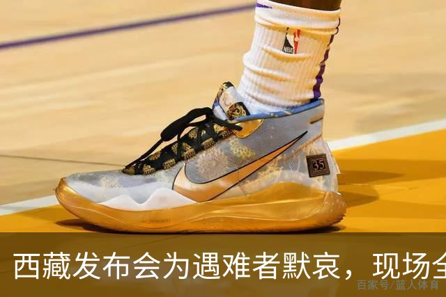 西藏发布会为遇难者默哀，现场全体起立，悼念遇难同胞；此次地震震级高、震源浅，震区平均海拔接近4800米