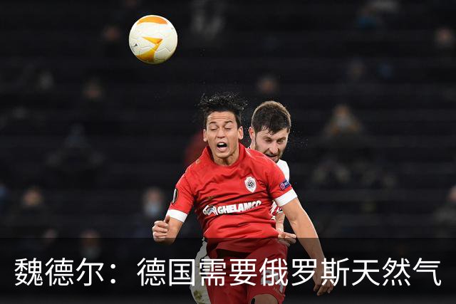 魏德尔：德国需要俄罗斯天然气