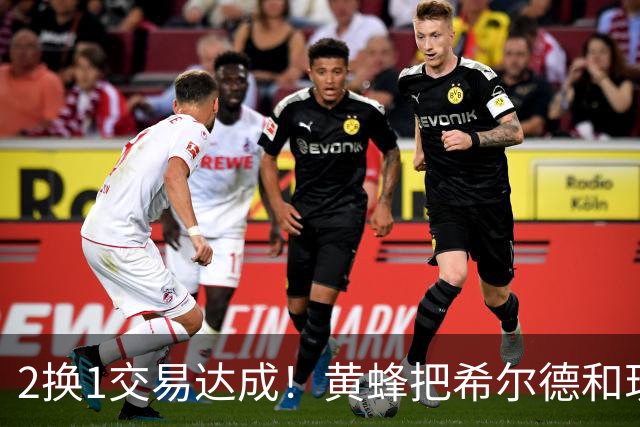 2换1交易达成！黄蜂把希尔德和现金交易到公牛 换来21岁迪林厄姆