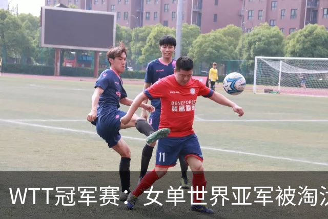 WTT冠军赛：女单世界亚军被淘汰！0:3出局，王艺迪晋级女单8强
